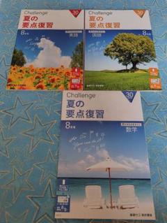 2025年最新】高1 進研ゼミの人気アイテム - メルカリ