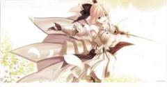Fate/complere material Ⅳセイバーリリィポスター　匿名配送 Fate/complere material Ⅳセイバーリリィポスター 匿名配送