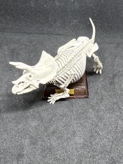 ネイチャーテクニカラー　古生物　トリケラトプス　骨格標本色　いきもん　恐竜