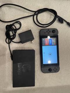 Nintendo Switch Lite グレー 本体 ACアダプター