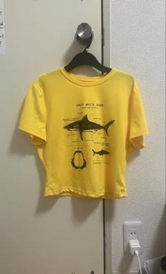 イエロー Tシャツ