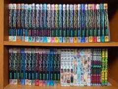 サザンアイズ 全40+幻獣の森の遭難者 全4+鬼籍の闇の契約者 1-5+他7冊