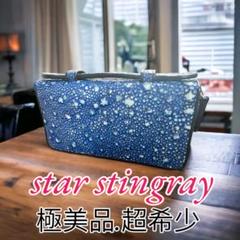 スタースティングレイ エイ革 ブルー 牛革 ガルーシャ 財布 長