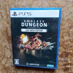 PS5 ENDLESS DUNGEON LAST WISH EDITION