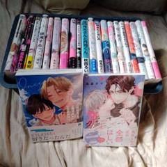 漫画　コミック　色々セット売り（バラ売り可） TLコミック ③ TL漫画 セット バラ売り可