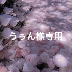 ペンライトデコ　オーダーページ オリジナル ミックスペンラ シート ペンラシール Web deco