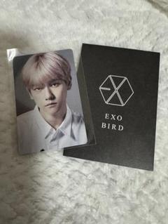 2025年最新】exo birdの人気アイテム - メルカリ