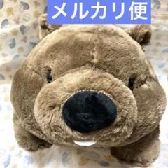 ずんぐりウォンピー ウルトラBIG ぬいぐるみ まえばちゃん