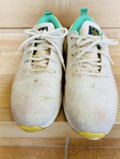 ☆送料無料☆ NIKE AIR ZOOM VICTORY TOUR 3 BOA ☆ NIKE - 30cmワイド NIKE Air Zoom Victory Tour 3 Boaの通販 by