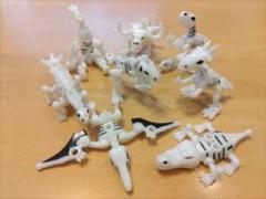 2025年最新】ほねほねザウルス1の人気アイテム - メルカリ