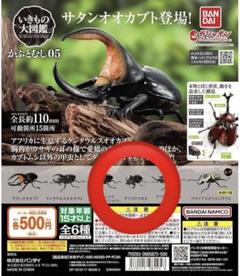 2025年最新】ダイコクコガネの人気アイテム - メルカリ