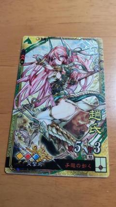 三国志大戦4】2弾 蜀SR趙氏 ぽけっと版 新枠 風間雷太 - メルカリ