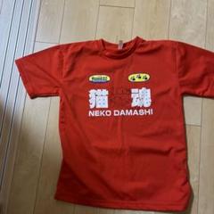 2025年最新】猫ひろし tシャツの人気アイテム - メルカリ