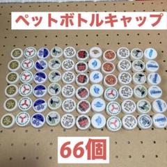 ペットボトルキャップ　白　66個 ①夏休み工作