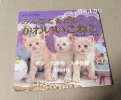 みんなともだち かわいいこねこ　レトロ　1994年　当時物