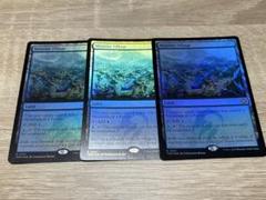 タルキール　湧霧の村　英語　レア　Foil 3枚セット