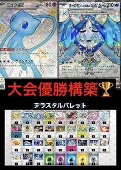 SR使用！テラスタルバレット　【構築済みデッキ】