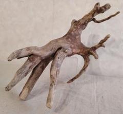 アクアリウム・パルダリウム・ハンドメイド・エアプランツ向け 塊根流木 約30cm