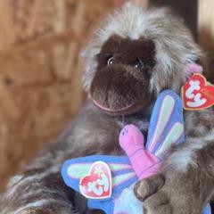 【入手困難】tyビーニーベイビーズ サルぬいぐるみ 楽天市場】Ty ぬいぐるみ サル Beanie Bellies スタビー Mサイズ