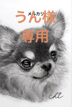 チワワ❤️ 犬 原画 鉛筆画 絵画 手描き イラスト ハガキサイズ