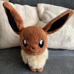 等身大 イーブイの中古 未使用品 メルカリ 等身大 イーブイの中古 未使用品 メルカリ