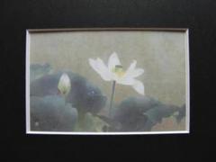 松本勝、【朝香】、新品高級額 額装付、日本画 希少画集画 状態良好 松本勝、【朝香】、新品高級額 額装付、日本画 希少画集画 状態