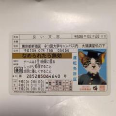 なめ猫カード 価格交渉受付中 なめ猫カード 価格交渉受付中 なめ猫カード 価格交渉受付中 なめ猫