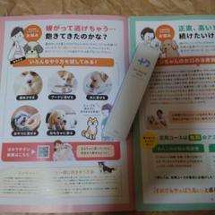 ドクターデンタルワン 犬用口腔ジェル 30g 楽天市場】【8/11 9:59まで☆P20倍】ドクターデンタルワン 30g 1