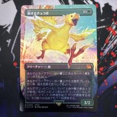 MTG 旅するチョコボ　日本語Foil