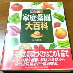 家庭菜園大百科 カラー版