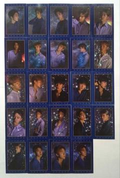 EXO シーグリ2019 フォーチュンカード トレカ コンプリート セット
