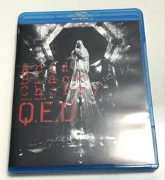 Acid Black Cherry/2009 tour\"Q.E.D.\"