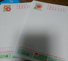 かもめーる 2018あさがお 2019ひまわり