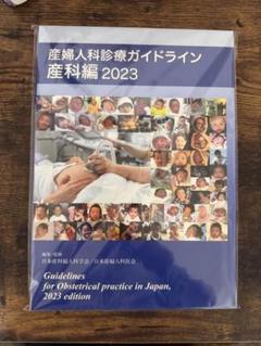 ⚠️ mitsuimo⚠️産婦人科診療ガイドライン 産科編 2023 Amazon.co.jp: 産婦人科診療ガイドライン 産科編2023 : おもちゃ