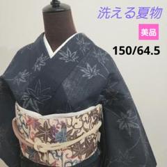 夏物　ちぢみ風　縮風　洗えるきもの