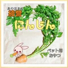 家庭菜園 ★ にんじん (ペット用)