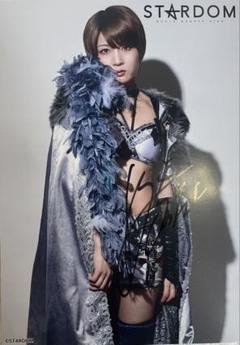 STARDOM 安納サオリ　ポートレート Amazon.co.jp: STARDOM 安納サオリ ポートレート : おもちゃ