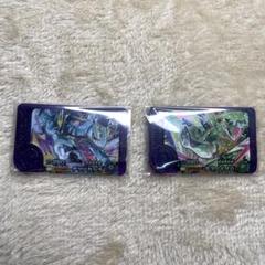 ポケモンフレンダ　テツノイサハ　テツノカシラ　2点セット