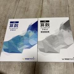 2025年最新】早稲アカ テキストの人気アイテム - メルカリ