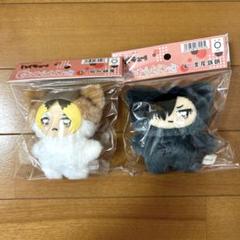 ハイキュー‼︎ ちみけもますこっと　孤爪研磨　黒尾鉄朗　セット　新品　ぬいぐるみ ハイキュー ちみけもマスコット 音駒セット 黒尾鉄朗 孤爪研磨