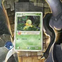 2025年最新】ポッチャマ プロモの人気アイテム - メルカリ