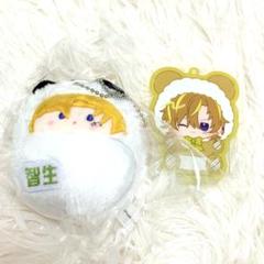 パラライ たぴぬい 智生