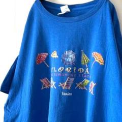 ギルダン フロリダ ビーチパラソル Tシャツ XL ブルー 青 古着