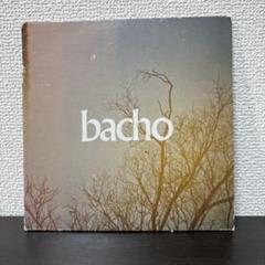 bacho 馬超　廃盤　デモ　セット売り 1048008620461391_01_7887w.jpeg
