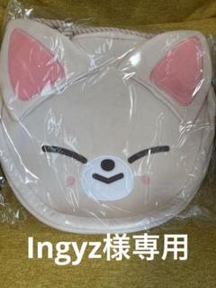 straykids スキズ アイエン トラベルポーチ フォクシニー