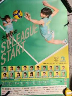 白岩蘭奈選手 群馬県前橋東警察署特殊詐欺パトロールポスター 白岩蘭奈 on X: 