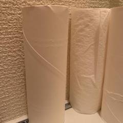 トイレットペーパーの芯です