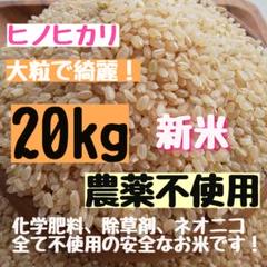 2025年最新】くず米 20kgの人気アイテム - メルカリ