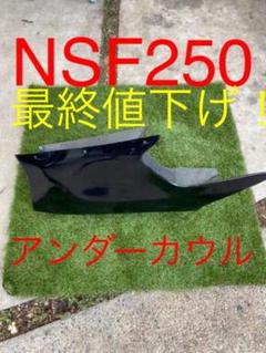 NSF250 アンダーカウル