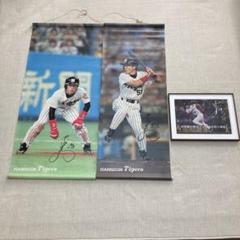 元阪神タイガース　赤星憲広　タペストリー　記念写真 m82985694297_1.jpg?1681288263